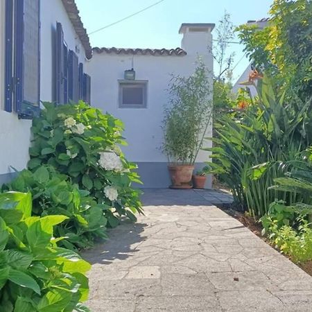 Casa Azores Zen Ribeira Grande Exterior foto