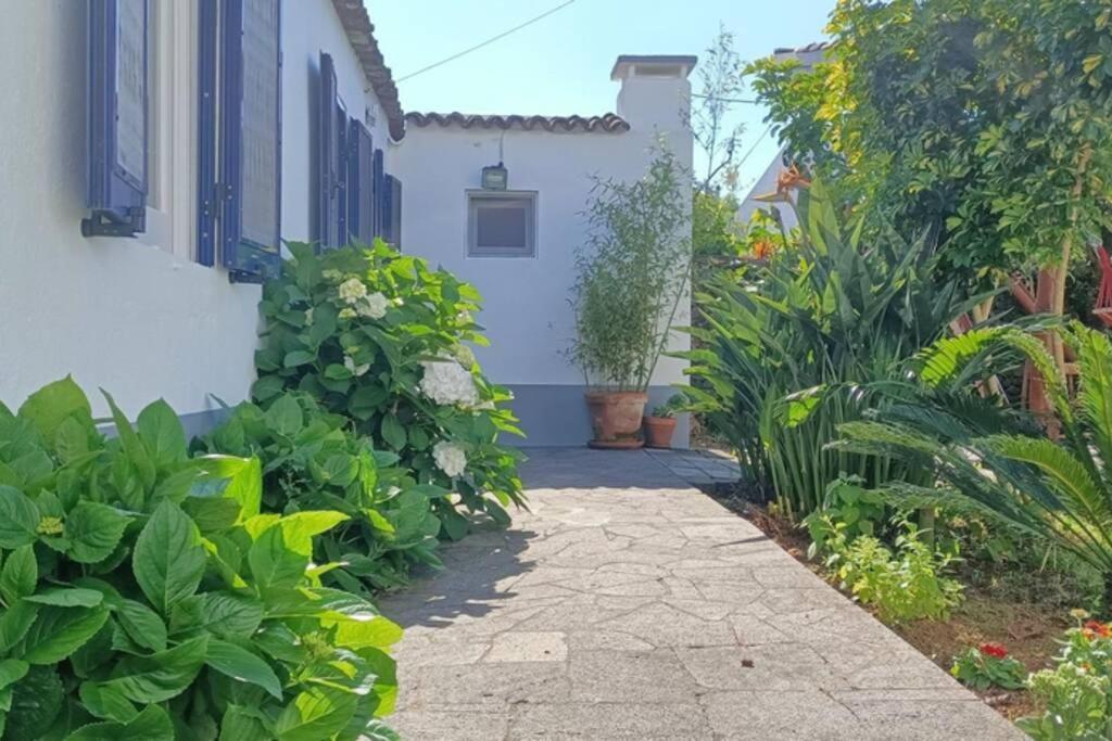 Casa Azores Zen Ribeira Grande Exterior foto